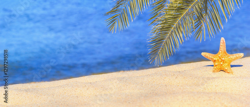 Obraz na płótnie View of a beach with starfish and palm branches under the hot tropical sun, selective focus, banner. Concept of sandy beach holiday, background with copy space for text w salonie