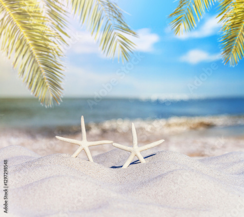 Close-up view of a sandy beach with a pair of starfish under the hot tropical sun, selective focus. Beach holiday concept, background with copy space for text