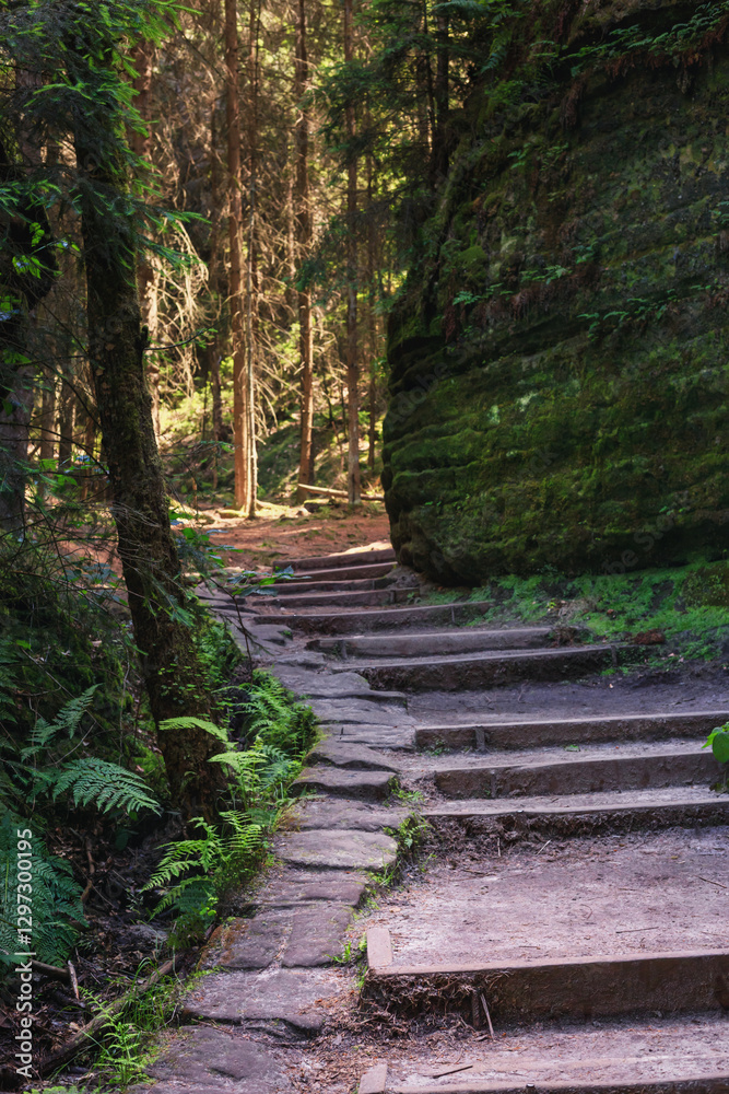 Natural landscape - view of stairs between rocks on a mountain path in Saxon Switzerland, Germany