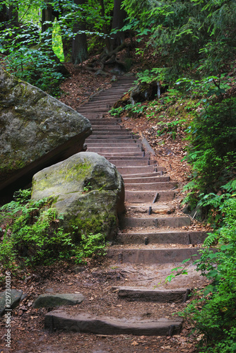 Obraz na płótnie Natural landscape - view of stairs between rocks on a mountain path in Saxon Switzerland, Germany w salonie