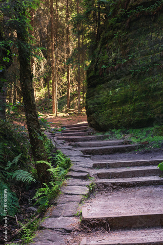 Obraz na płótnie Natural landscape - view of stairs between rocks on a mountain path in Saxon Switzerland, Germany w salonie