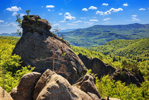 Obraz na płótnie Natural landscape - view of the Rocks of Dovbush, a group of natural rock structures in Carpathian Mountains, in the Ivano-Frankivsk Oblast of western Ukraine w salonie