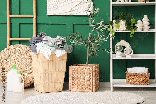 Laundry basket with dirty clothes, olive tree and shelving unit near green wall photo