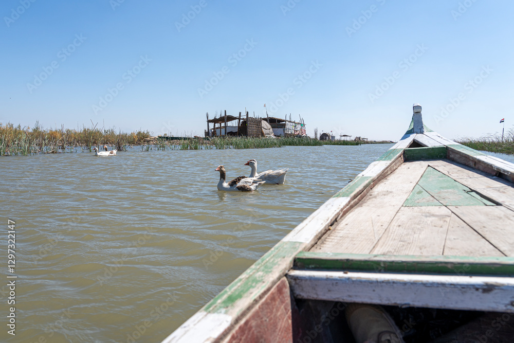 Boat trip in the Mesopotamian / Iraqi Marshes with the so called Marsh Arabs Madan