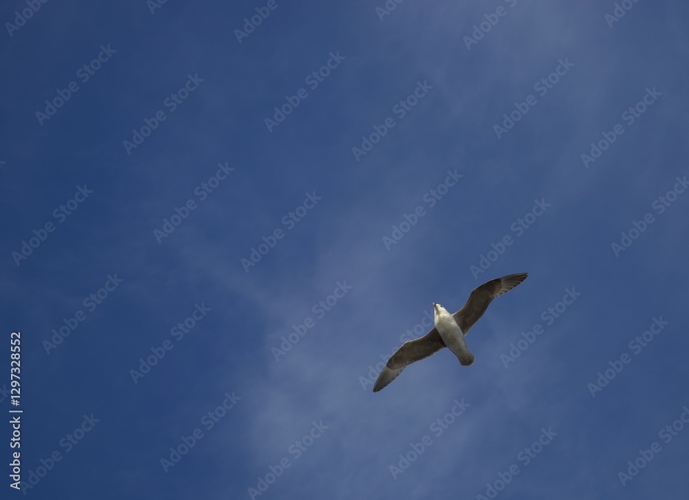 Beautiful landscapes of nature in Svalbard 