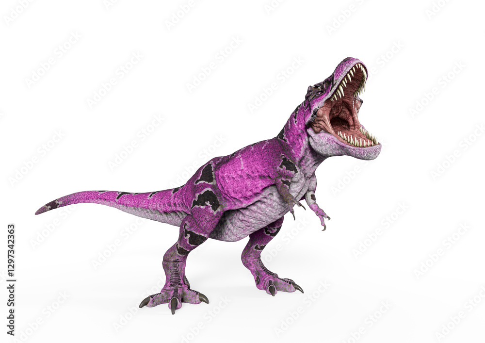 Obraz premium tyrannosaurus mcraeensis is angry and hungry in white background