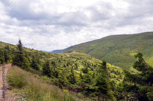 Wallpaper Mural Beautiful green mountain landscape showcasing serene hiking trail leading through lush scenery under cloudy sky. Ideal for depicting trekking and nature exploration. Carpathians, Ukraine Torontodigital.ca