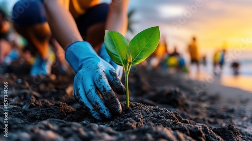 A volunteer gently plants a young tree in the sand during a community event, emphasizing the importance of environmental conservation and beach beautification efforts. photo