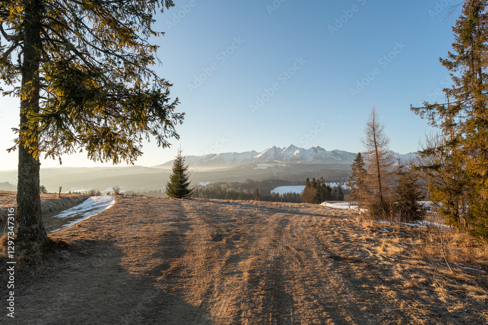 Widok na Tatry Bielskie z przełęczy nad Łapszanką