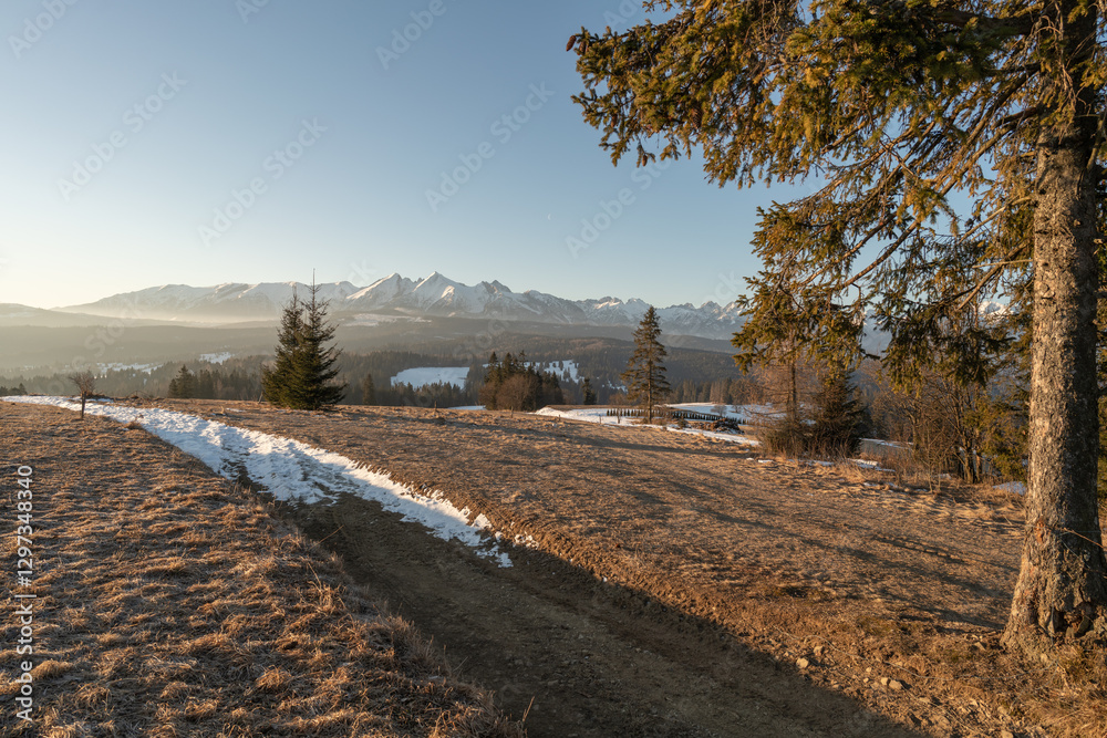 Widok na Tatry Bielskie z przełęczy nad Łapszanką