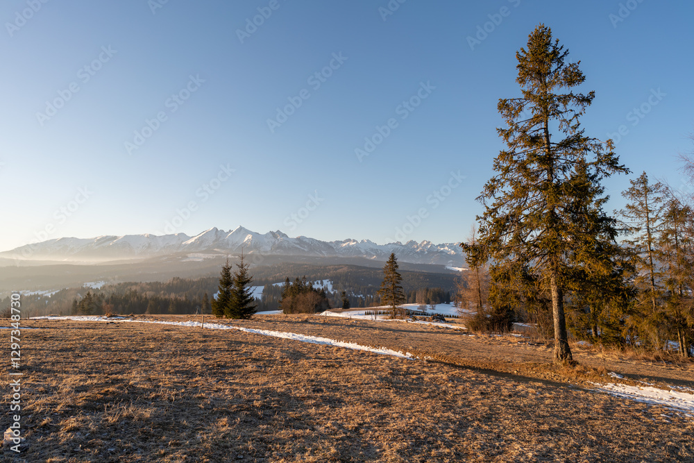 Widok na Tatry Bielskie z przełęczy nad Łapszanką