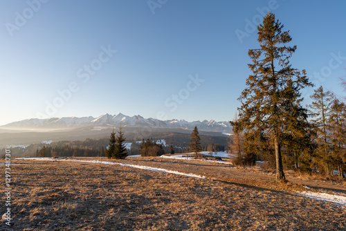 Obraz na płótnie Widok na Tatry Bielskie z przełęczy nad Łapszanką w salonie