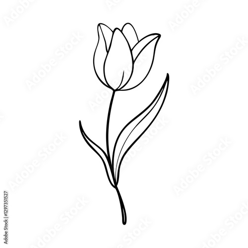 a monochrome artistic depiction of a elegant tulip flower. Delicate petals, stem and a leaf vector illustration
