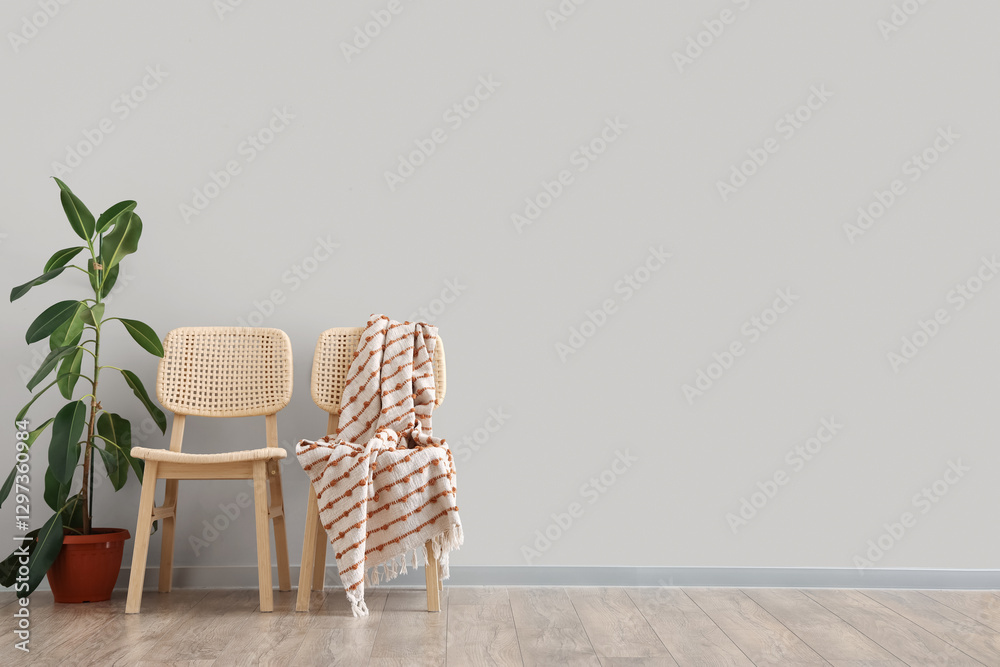 Fototapeta premium Chair with plaid and Ficus houseplant near grey wall in room