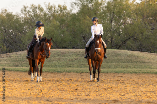 Horse Equestrian hunter jumper riding portrait tack English attire  friends barn buddies