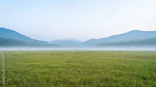 Green grassy meadow covered in thick morning mist with forested mountains in the background at dawn.
