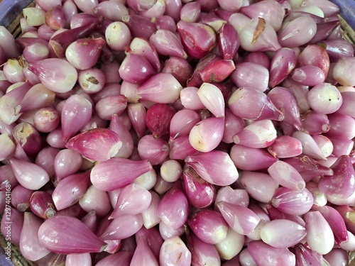 Pile of Organic Shallots Freshly Harvested