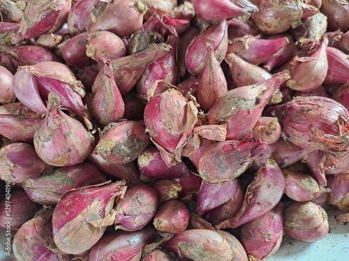 Pile of Organic Shallots Freshly Harvested