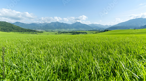 Lush green grass field stretches towards distant mountains under a bright blue sky during daytime.