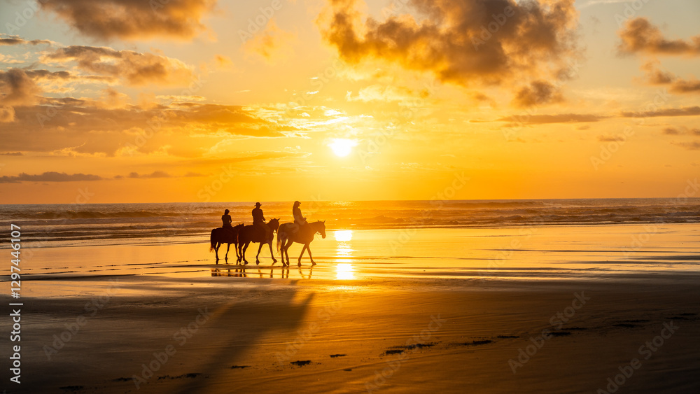 Silhouetted Horses at Beach Sunset in Costa Rica Silhouetted Horses at Beach Sunset in Costa Rica