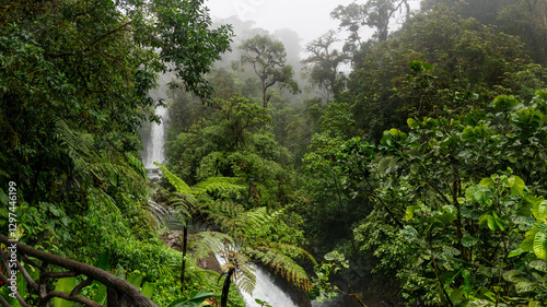 Mystical Cloud Forest Waterfalls of Costa Rica