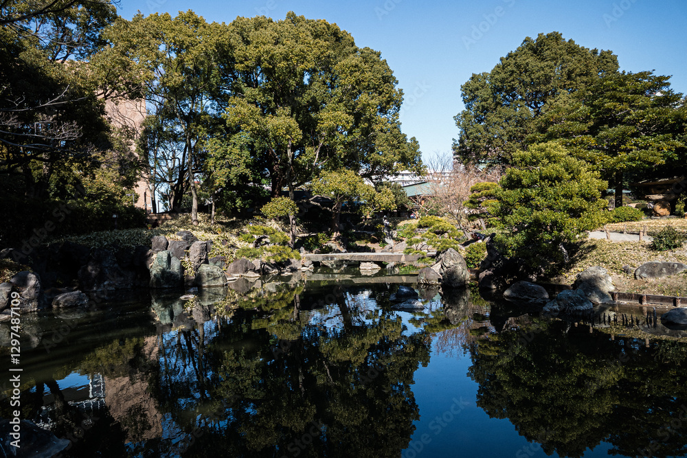 東京都清澄庭園池のほとりの景色 東京都清澄庭園池のほとりの景色