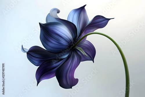 Realistic Wildflower Showcase with Vibrant Colors and Delicate Petals