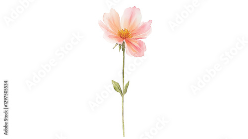 Fototapeta Naklejka Na Ścianę i Meble -  A watercolor painting of a pink flower with a stem