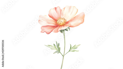 A single pink flower with a green stem