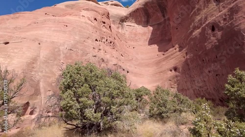 Rattlesnakes canyon arches landscape view  photo