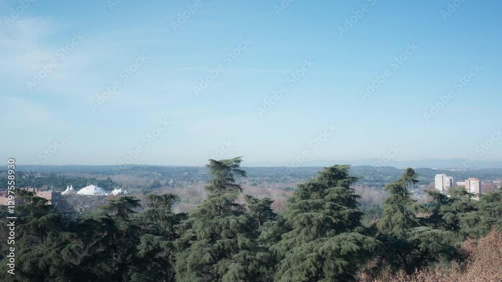 Panoramic view of evergreen trees and distant buildings in Madrid, a vantage perspective of tall evergreen trees, scattered buildings, and a clear horizon under a bright sky in Madrid, Spain Panoramic view of evergreen trees and distant buildings in Madrid, a vantage perspective of tall evergreen trees, scattered buildings, and a clear horizon under a bright sky in Madrid, Spain