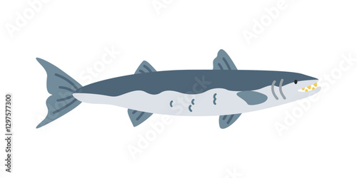 Barracuda cartoon clipart. Cute barracuda fish (Sphyraena) vector illustration. Animal in flat style. Sea animals concept isolated on white background