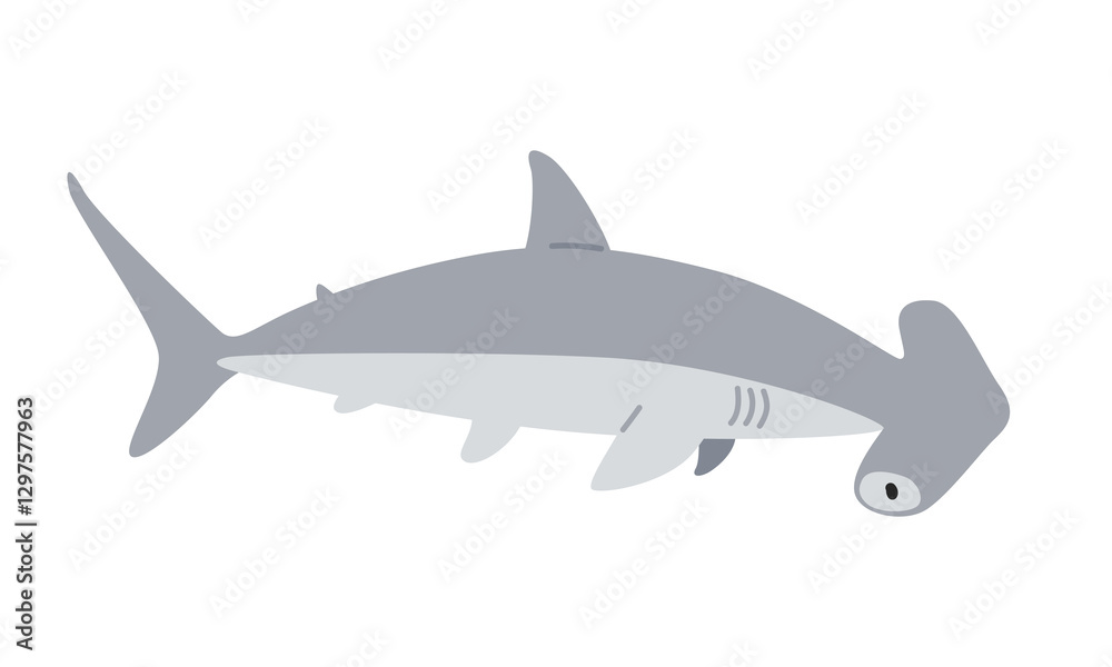 Fototapeta premium Hammerhead shark cartoon clipart. Cute hammerhead shark (Sphyrnidae) vector illustration. Animal in flat style. Sea animals concept isolated on white background