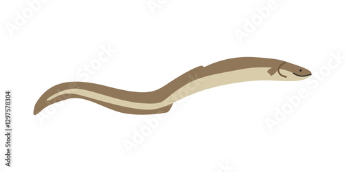Eel (Anguilliformes) cartoon clipart. Cute eel vector illustration. Animal in flat style. Sea animals concept isolated on white background