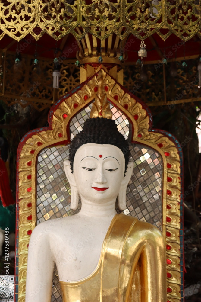 Obraz premium buddha statue