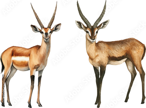 Watercolor drawing of an antelope, whole body, in the form of a collage on a white background