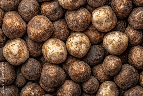 Textured earthball mushrooms in a dense cluster showcasing natural patterns and earthy tones in a close up view from above photo