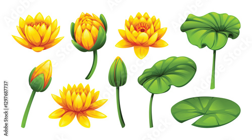 Set of yellow water lilies in various stages of bloom, with lotus leaves. Vector cartoon illustration