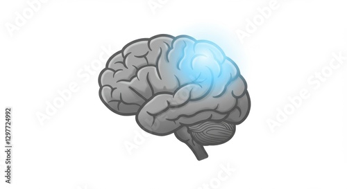 Brain with Glowing Blue Spot | Conceptual Illustration of Mental Activity, Neurological Function, and Cognitive Processes for Science and Education