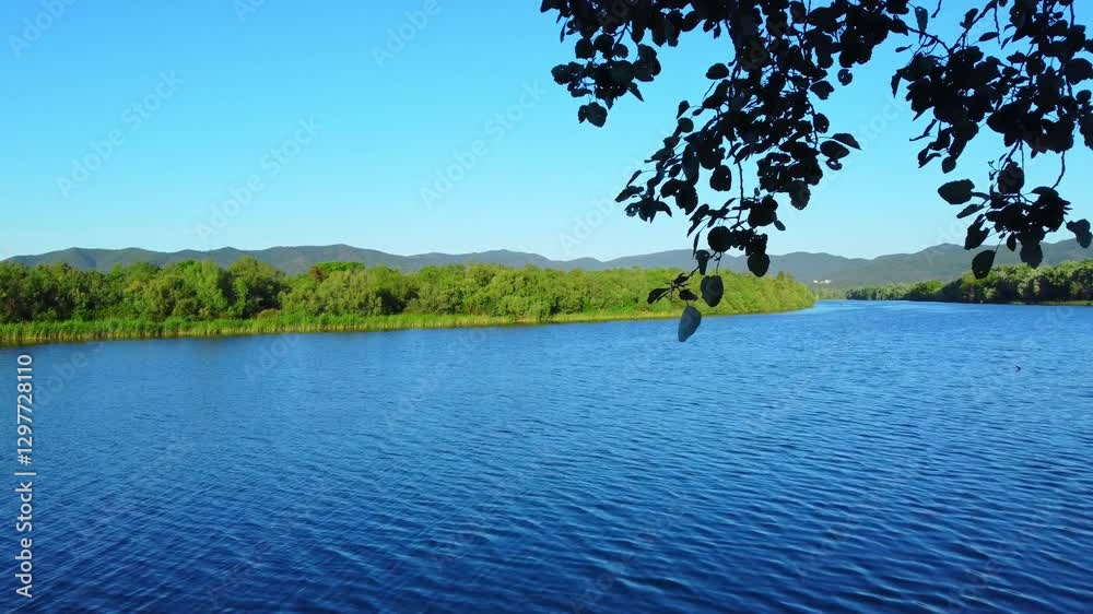 Aerial View of river, Beautiful Aerial View of African Jungles forest and River, Landscape in aerial drone shot. Adove calm tranquil river in Jijel Algeria North Africa, River and green fores trees.
