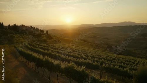 Wallpaper Mural Tuscan Vineyard Sunset: Golden Hour in Italy's Rolling Hills Torontodigital.ca