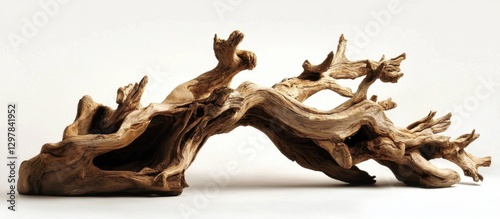 Unique ancient tree with a twisted, contorted trunk.