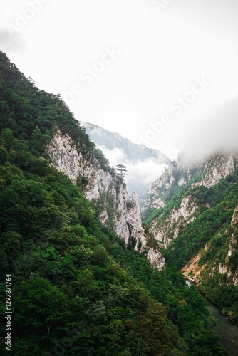 Valokuvatapetti Scenic view of a lush green canyon with rocky cliffs.