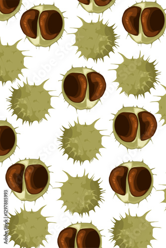 set of chestnuts castanea  pattern With Thorny green outer skin and brown seed issolated on white