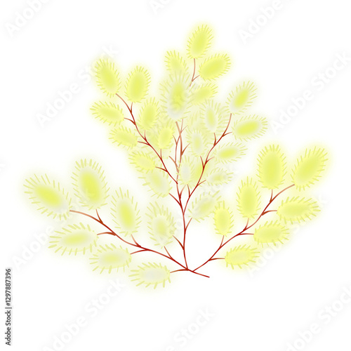 A willow twig with fluffy balls for the Palm Sunday holiday