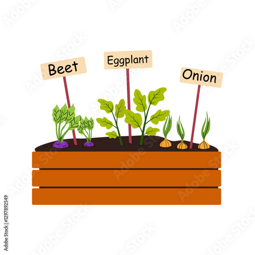 Vegetable garden with beet, eggplant, and onion in a wooden raised bed