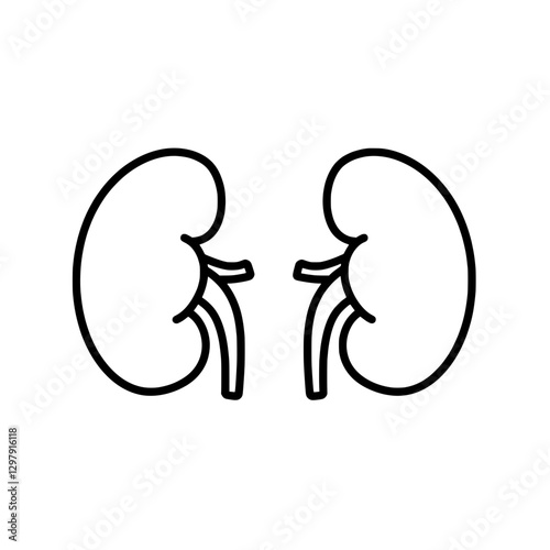 Human Kidney Illustration: A precise outline of two human kidneys, depicted in a minimalist style, emphasizing essential anatomical details.