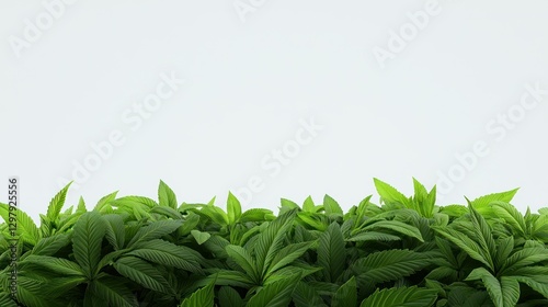 Vibrant Foliage: Lush green leaves create a vibrant and fresh border, providing a sense of natural beauty and life, evoking a feeling of serenity and connection to nature.