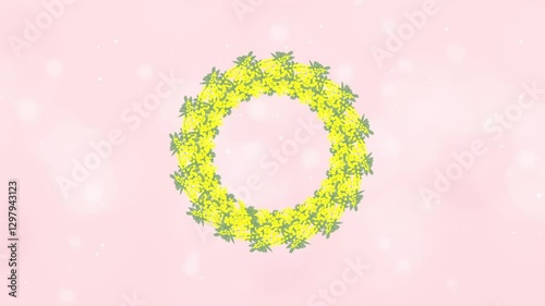 ミモザ　フレーム　円　背景ピンク