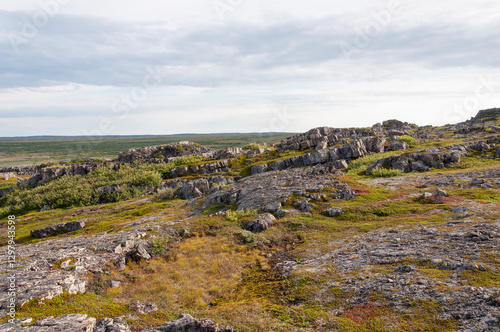 Summer tundra landscape, flat rocks in the foreground. Rybachy Peninsula, Murmansk region, Russia